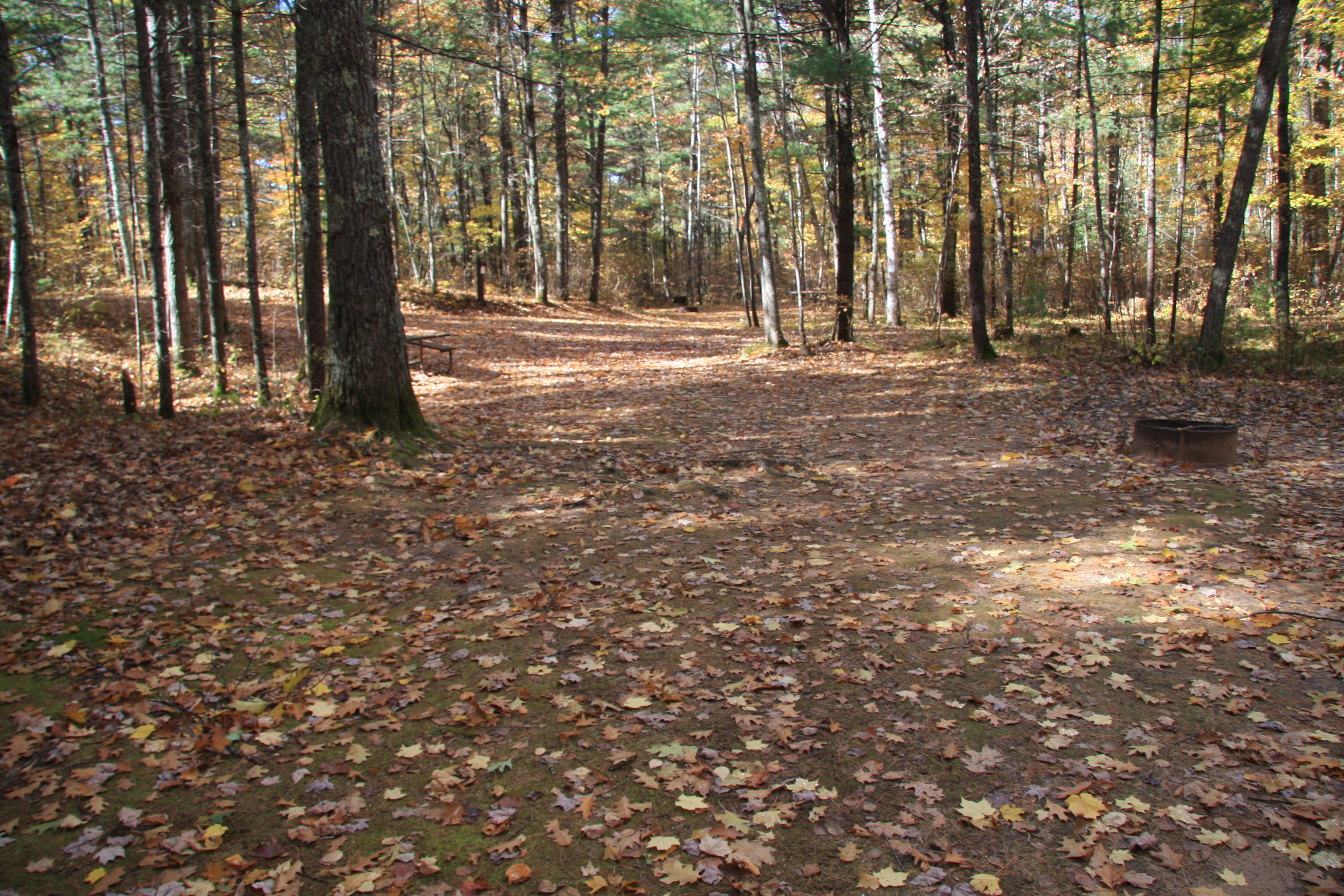 Site 2035, photo 2 of 2 · from wisconsin.goingtocamp.com (the park's booking system)