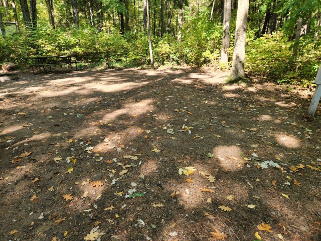 Site 40, photo 3 of 3 · from wisconsin.goingtocamp.com (the park's booking system)
