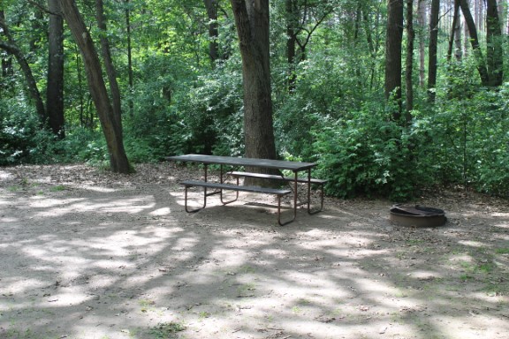 Site 82, photo 3 of 3 · from wisconsin.goingtocamp.com (the park's booking system)