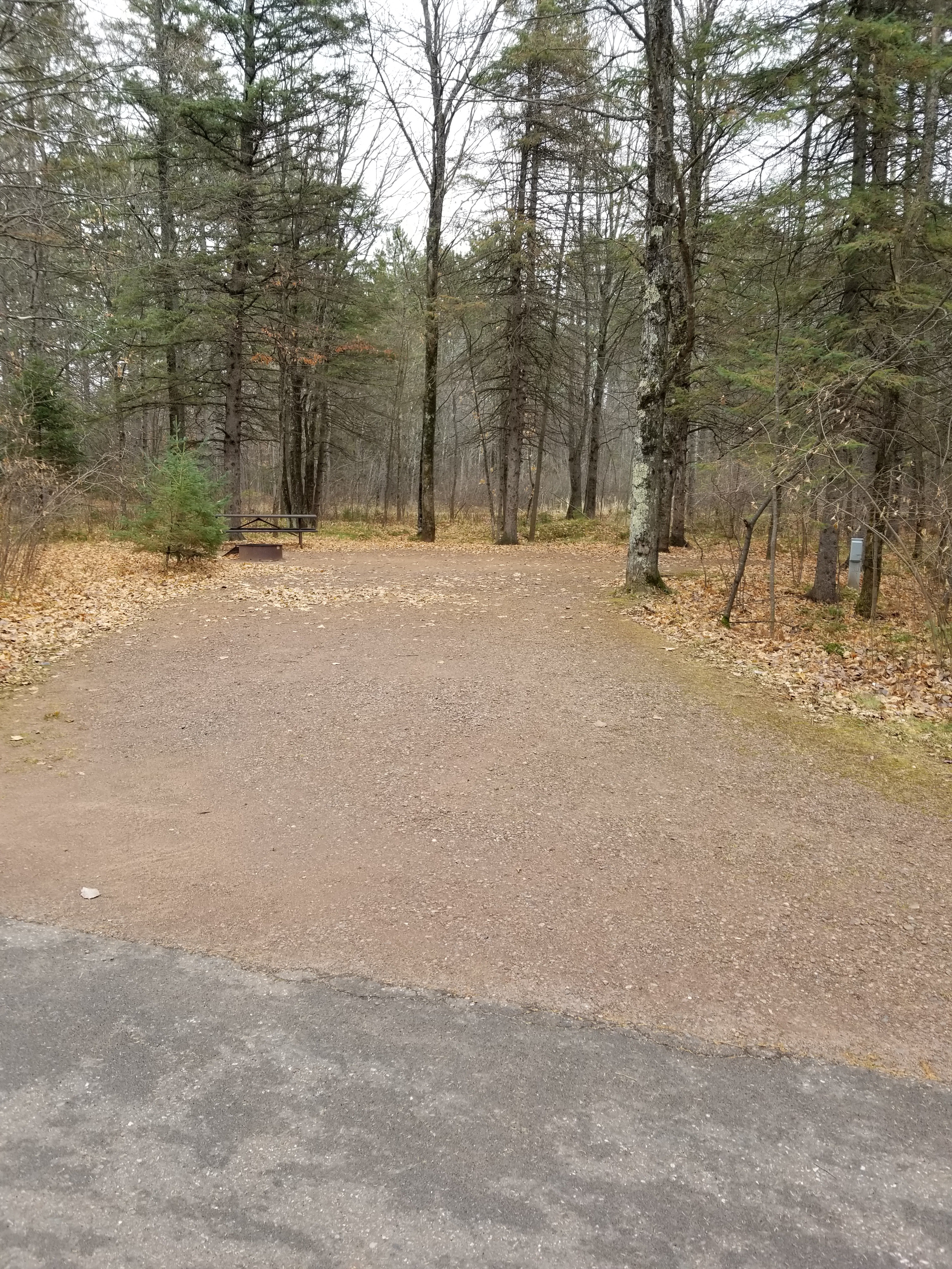 Site 11, photo 2 of 4 · from wisconsin.goingtocamp.com (the park's booking system)