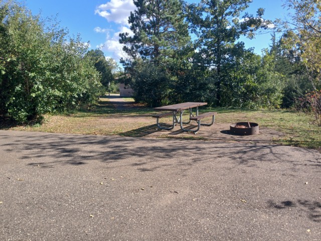 Site 229, photo 2 of 2 · from wisconsin.goingtocamp.com (the park's booking system)