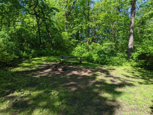 Site 18, photo 3 of 3 · from wisconsin.goingtocamp.com (the park's booking system)