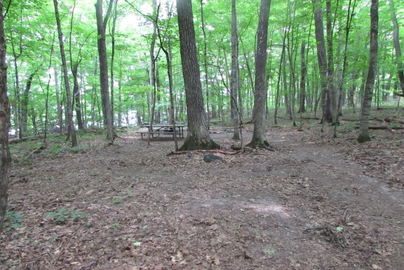 Site 8, photo 2 of 4 · from wisconsin.goingtocamp.com (the park's booking system)
