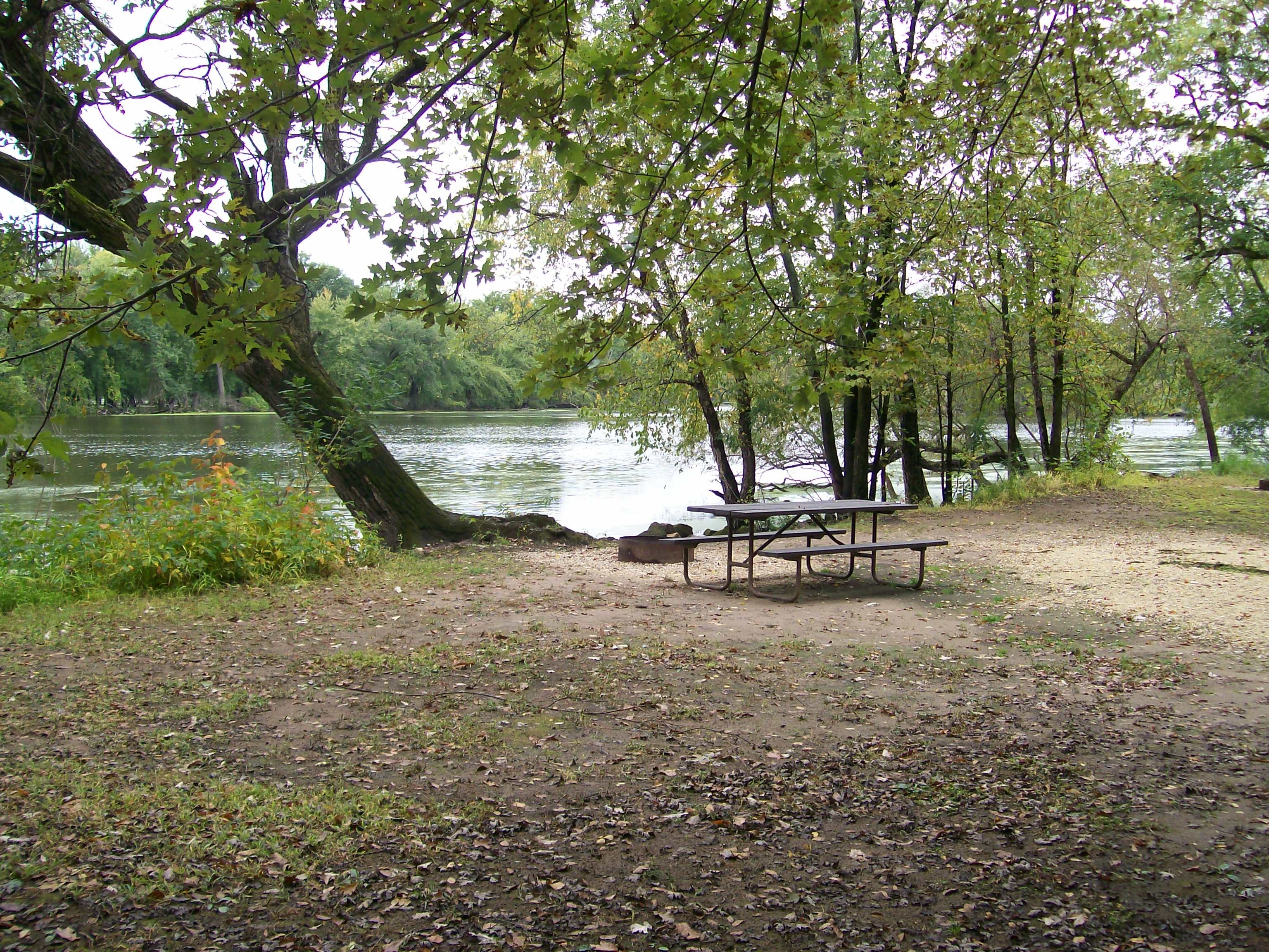 Site 74, photo 2 of 4 · from wisconsin.goingtocamp.com (the park's booking system)