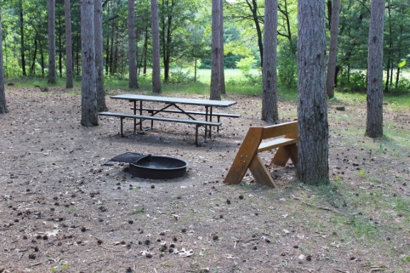 Site 39, photo 3 of 3 · from wisconsin.goingtocamp.com (the park's booking system)
