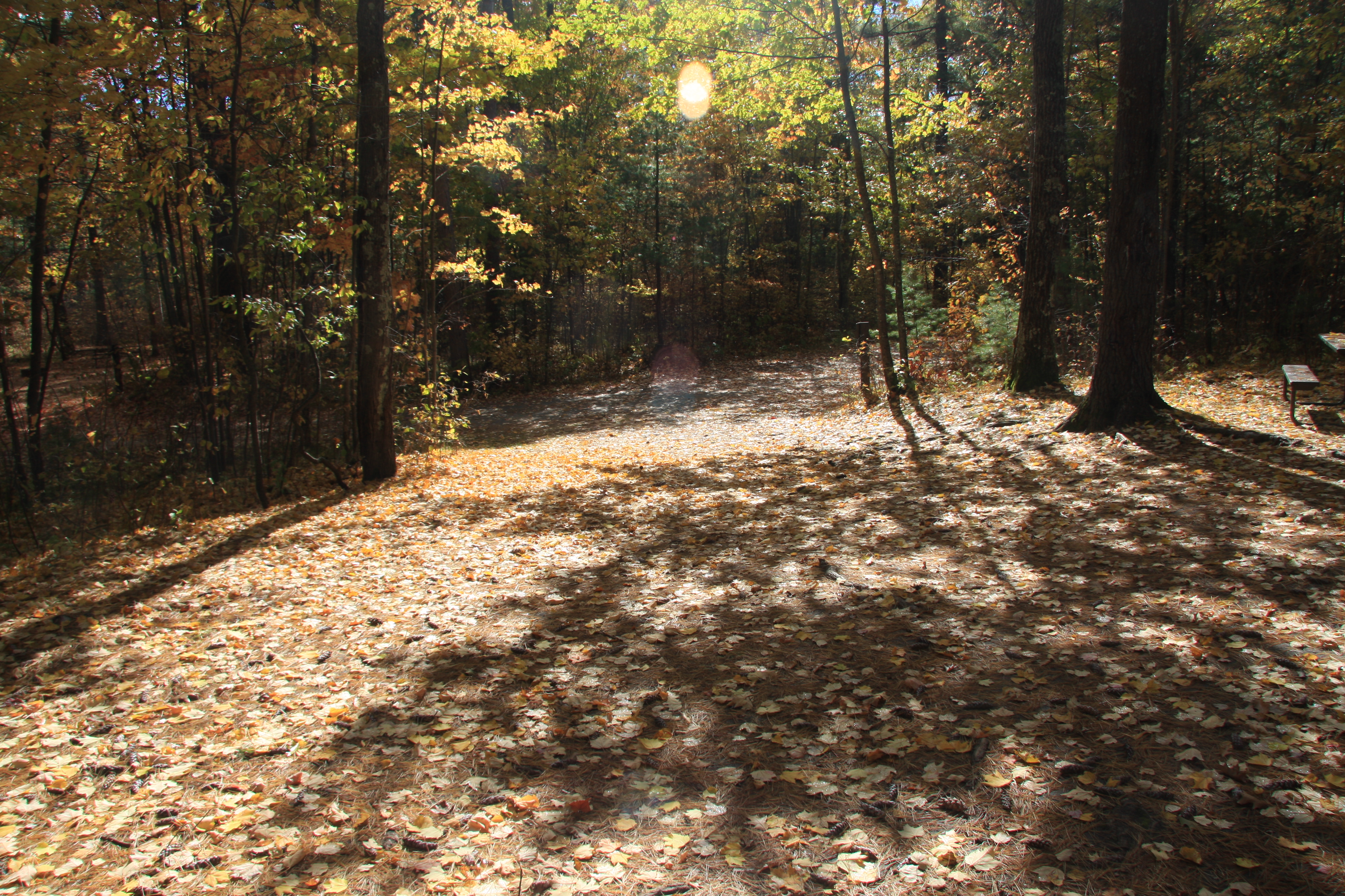 Site 2013, photo 2 of 3 · from wisconsin.goingtocamp.com (the park's booking system)