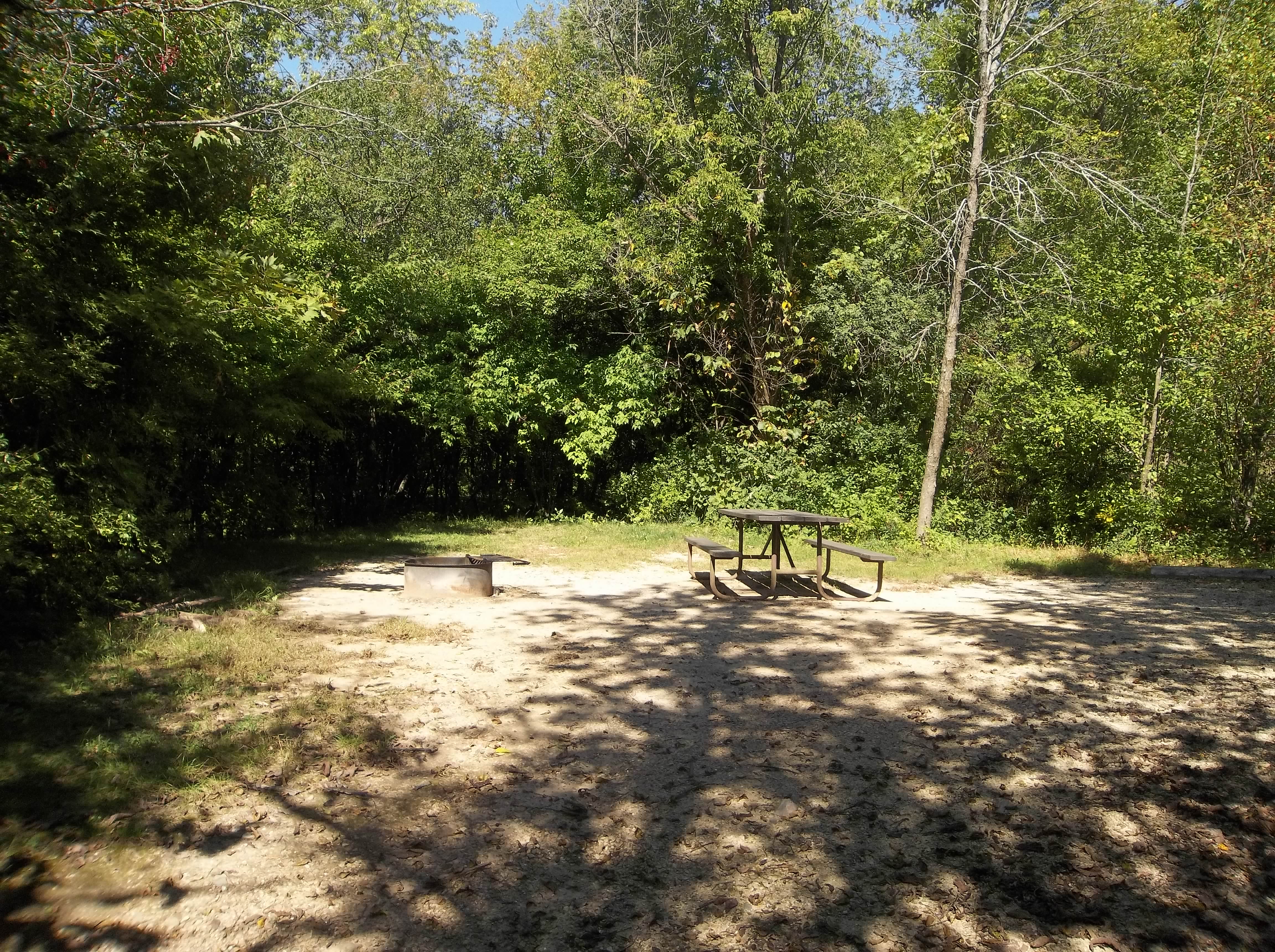 Site 617, photo 3 of 4 · from wisconsin.goingtocamp.com (the park's booking system)