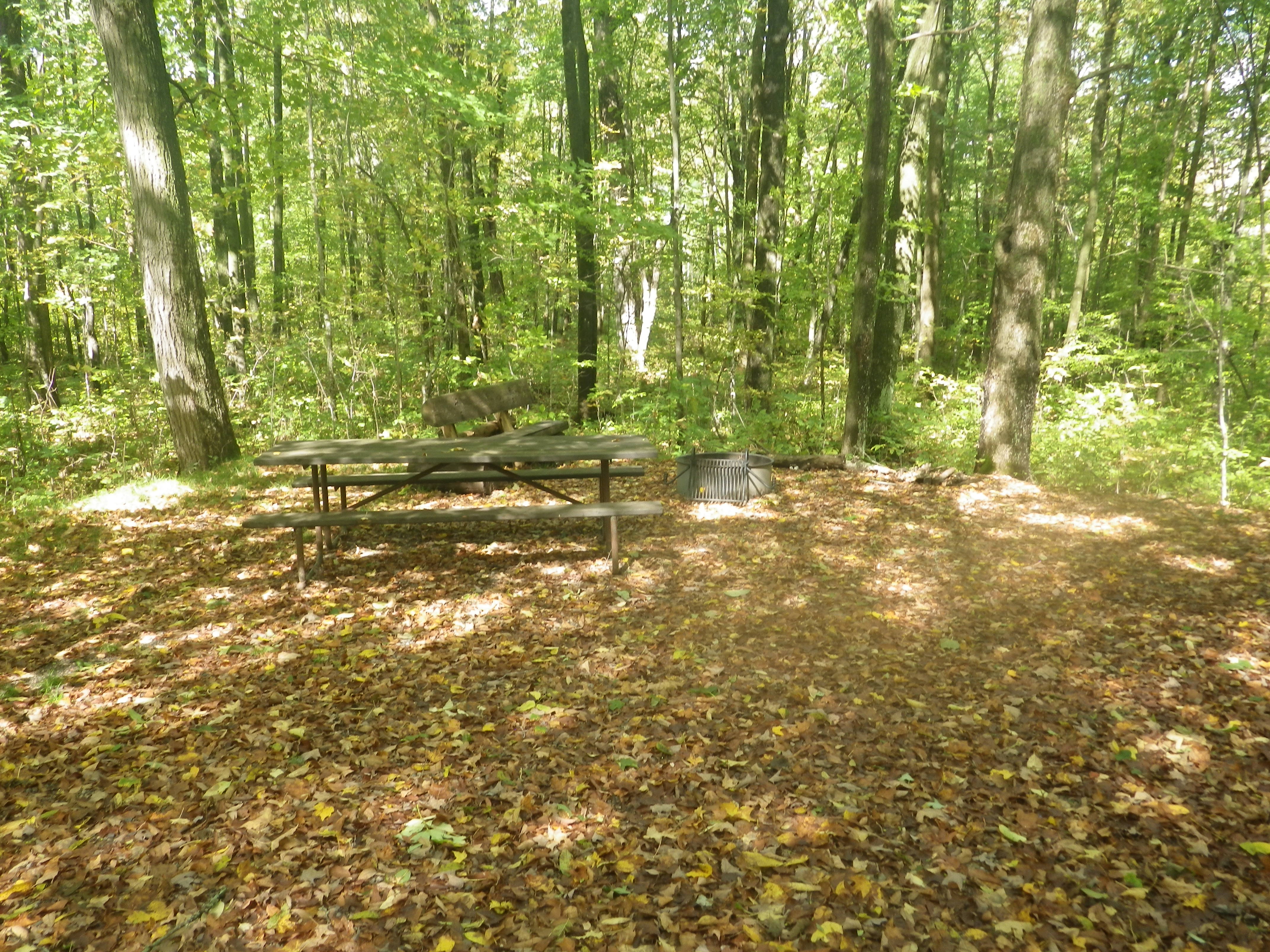 Site 124, photo 3 of 3 · from wisconsin.goingtocamp.com (the park's booking system)