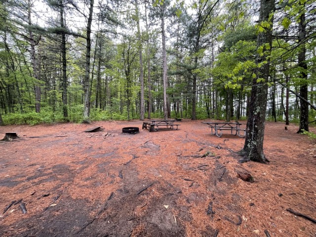 Site G2, photo 2 of 3 · from wisconsin.goingtocamp.com (the park's booking system)