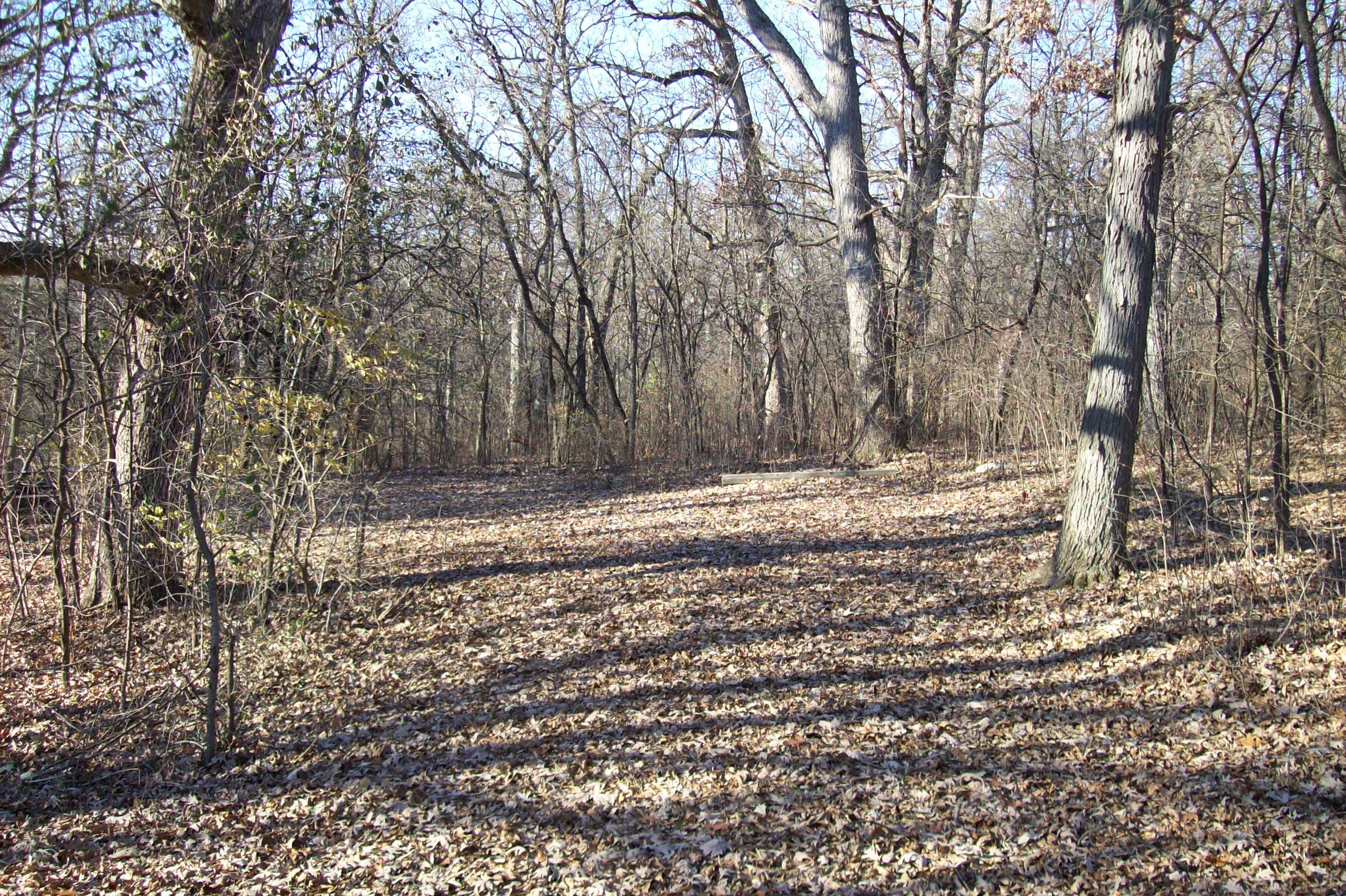 Site 776, photo 2 of 4 · from wisconsin.goingtocamp.com (the park's booking system)