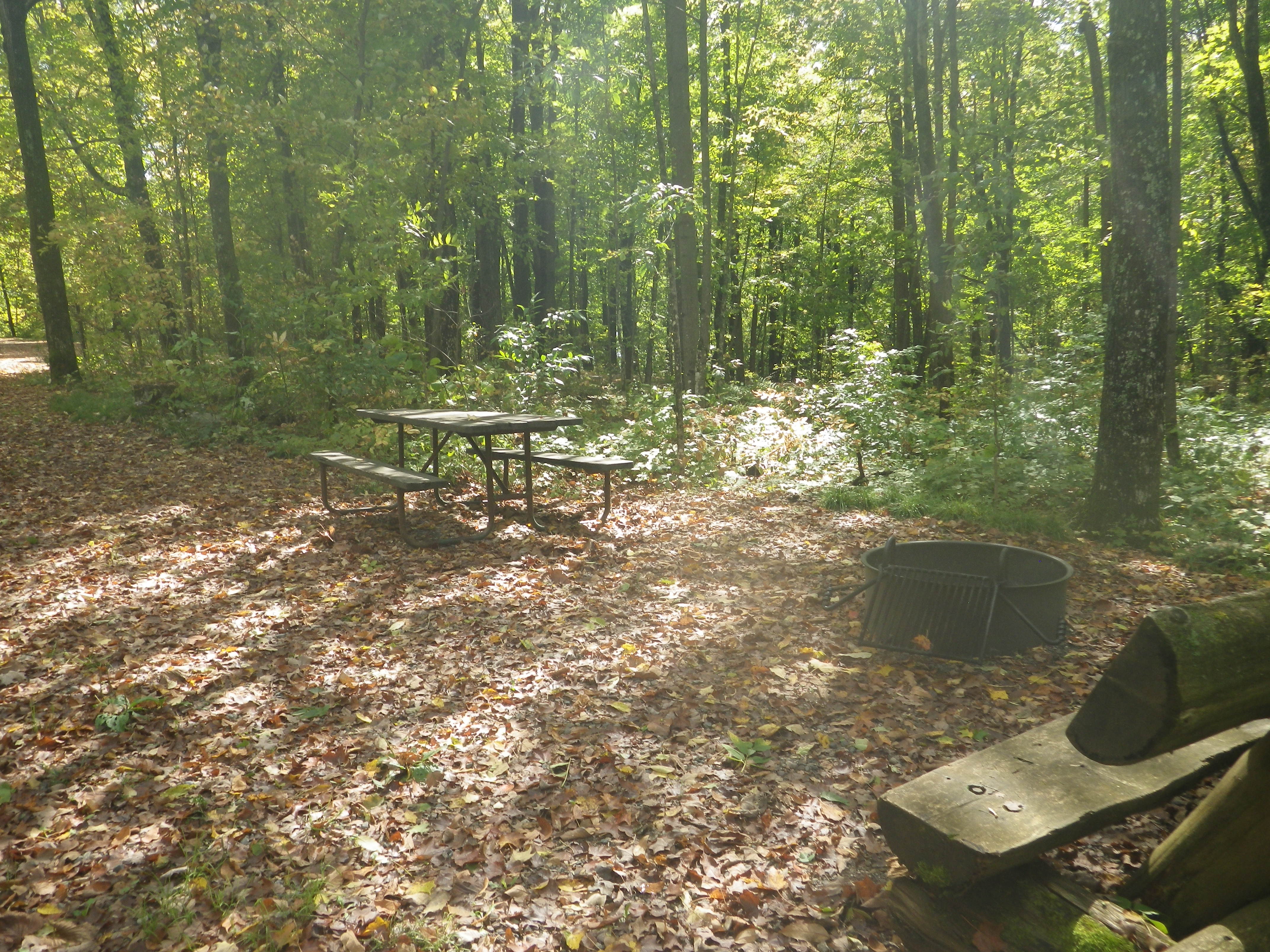 Site 130, photo 3 of 3 · from wisconsin.goingtocamp.com (the park's booking system)