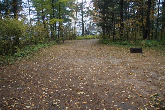 Site 467, photo 2 of 2 · from wisconsin.goingtocamp.com (the park's booking system)