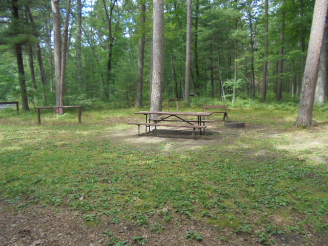 Site 7, photo 2 of 4 · from wisconsin.goingtocamp.com (the park's booking system)