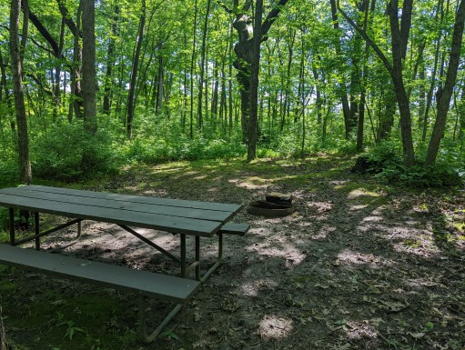 Site 27, photo 2 of 3 · from wisconsin.goingtocamp.com (the park's booking system)