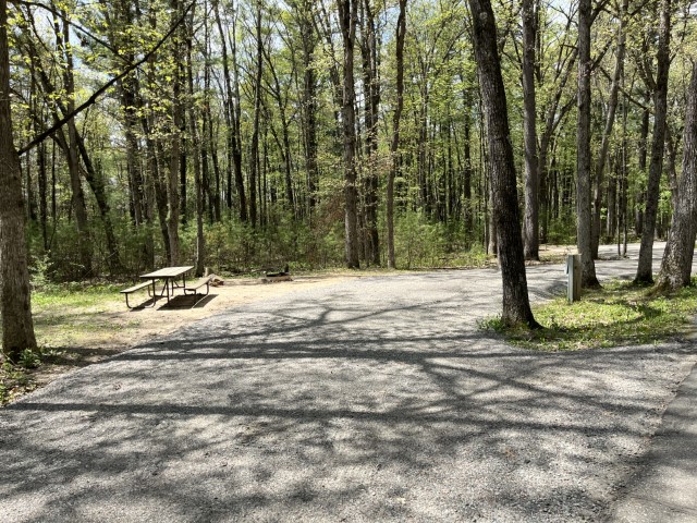 Site 10, photo 2 of 3 · from wisconsin.goingtocamp.com (the park's booking system)