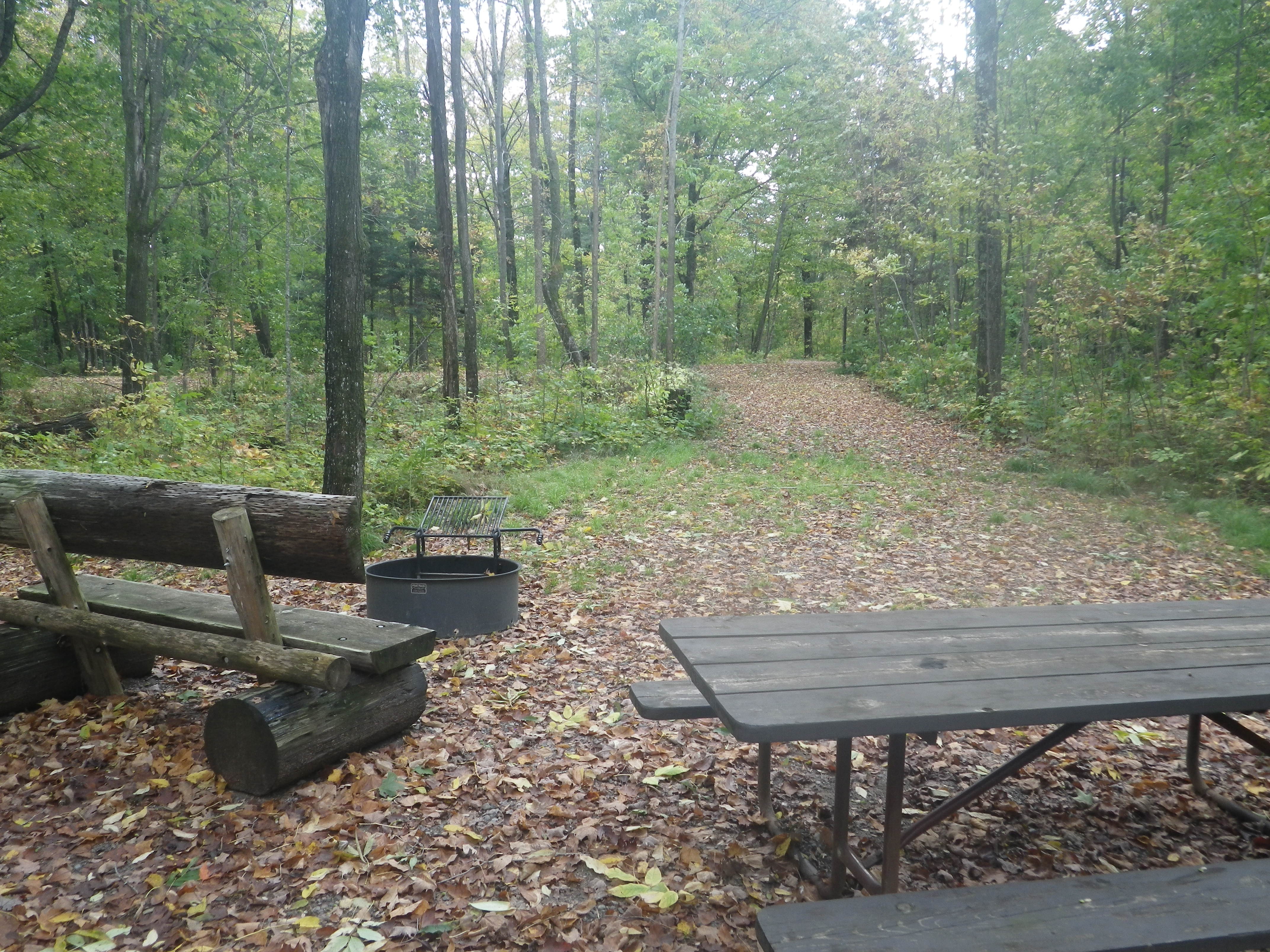 Site 129, photo 3 of 3 · from wisconsin.goingtocamp.com (the park's booking system)