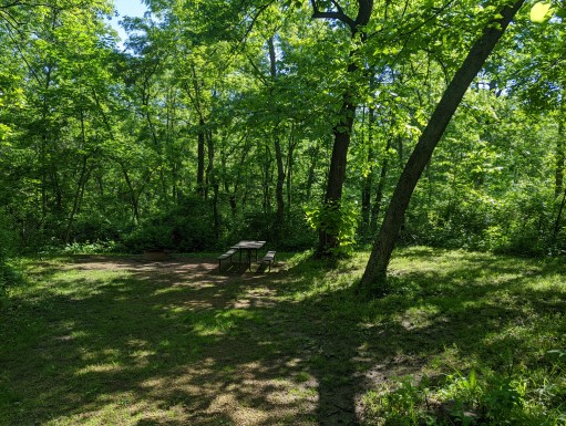 Site 2, photo 3 of 3 · from wisconsin.goingtocamp.com (the park's booking system)