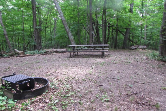 Site 6, photo 2 of 4 · from wisconsin.goingtocamp.com (the park's booking system)