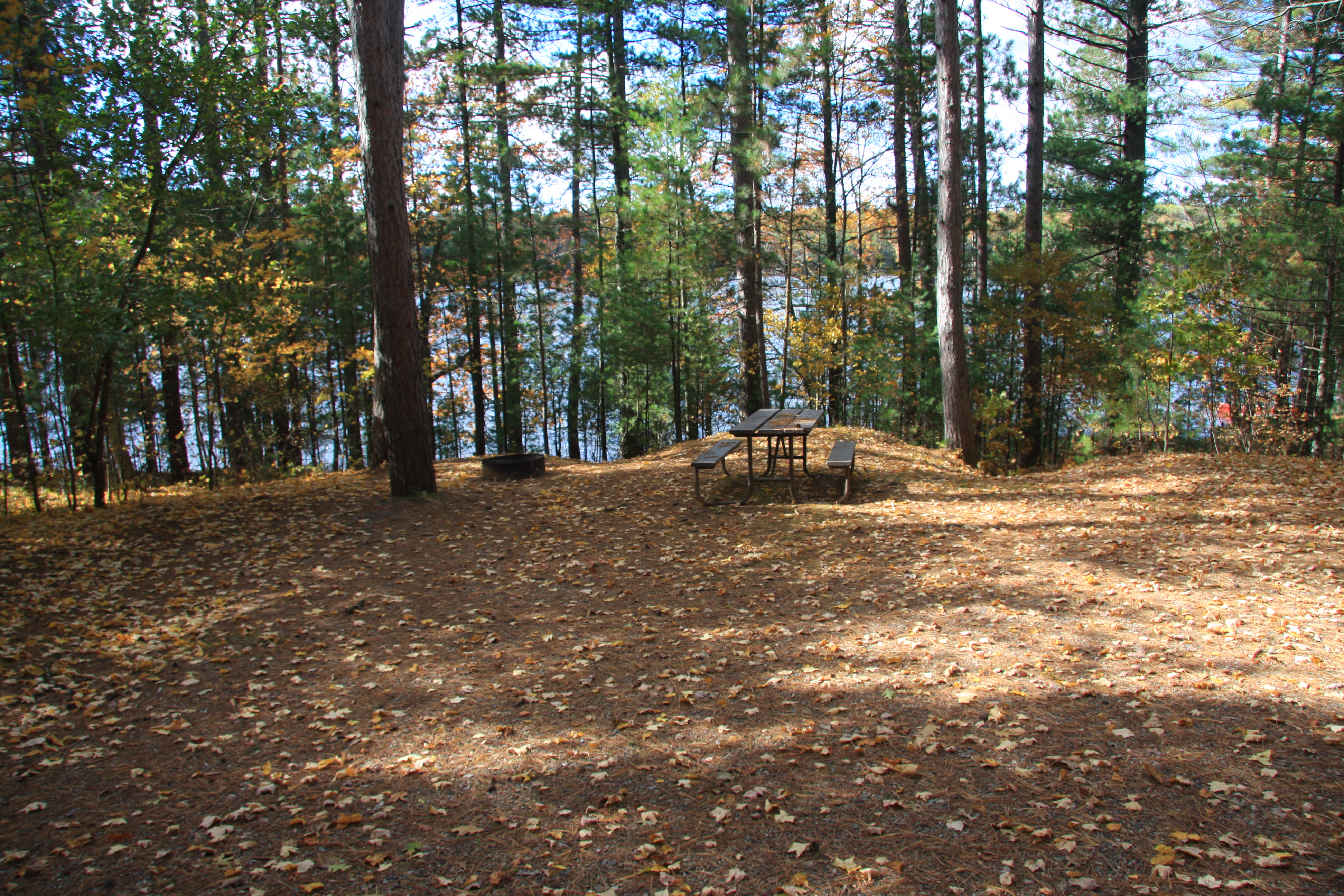 Site 2039, photo 3 of 3 · from wisconsin.goingtocamp.com (the park's booking system)