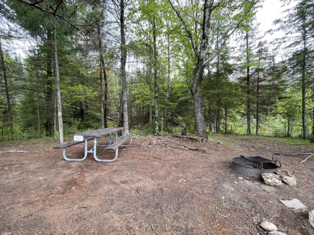 Site 29, photo 2 of 3 · from wisconsin.goingtocamp.com (the park's booking system)