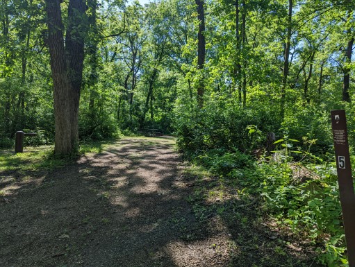 Site 5, photo 2 of 3 · from wisconsin.goingtocamp.com (the park's booking system)