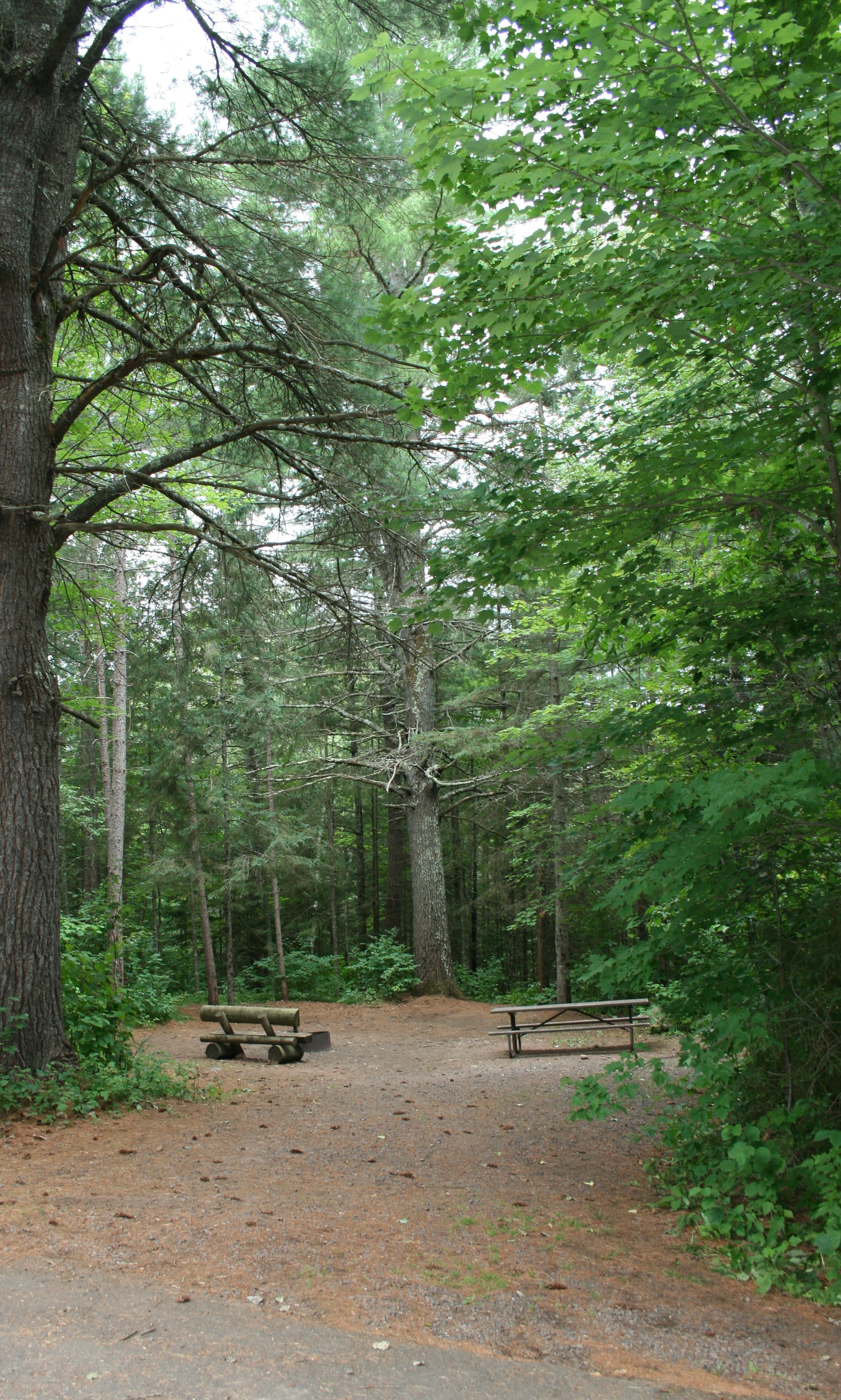 Site 20, photo 2 of 3 · from wisconsin.goingtocamp.com (the park's booking system)