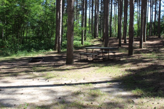 Site 45, photo 2 of 3 · from wisconsin.goingtocamp.com (the park's booking system)