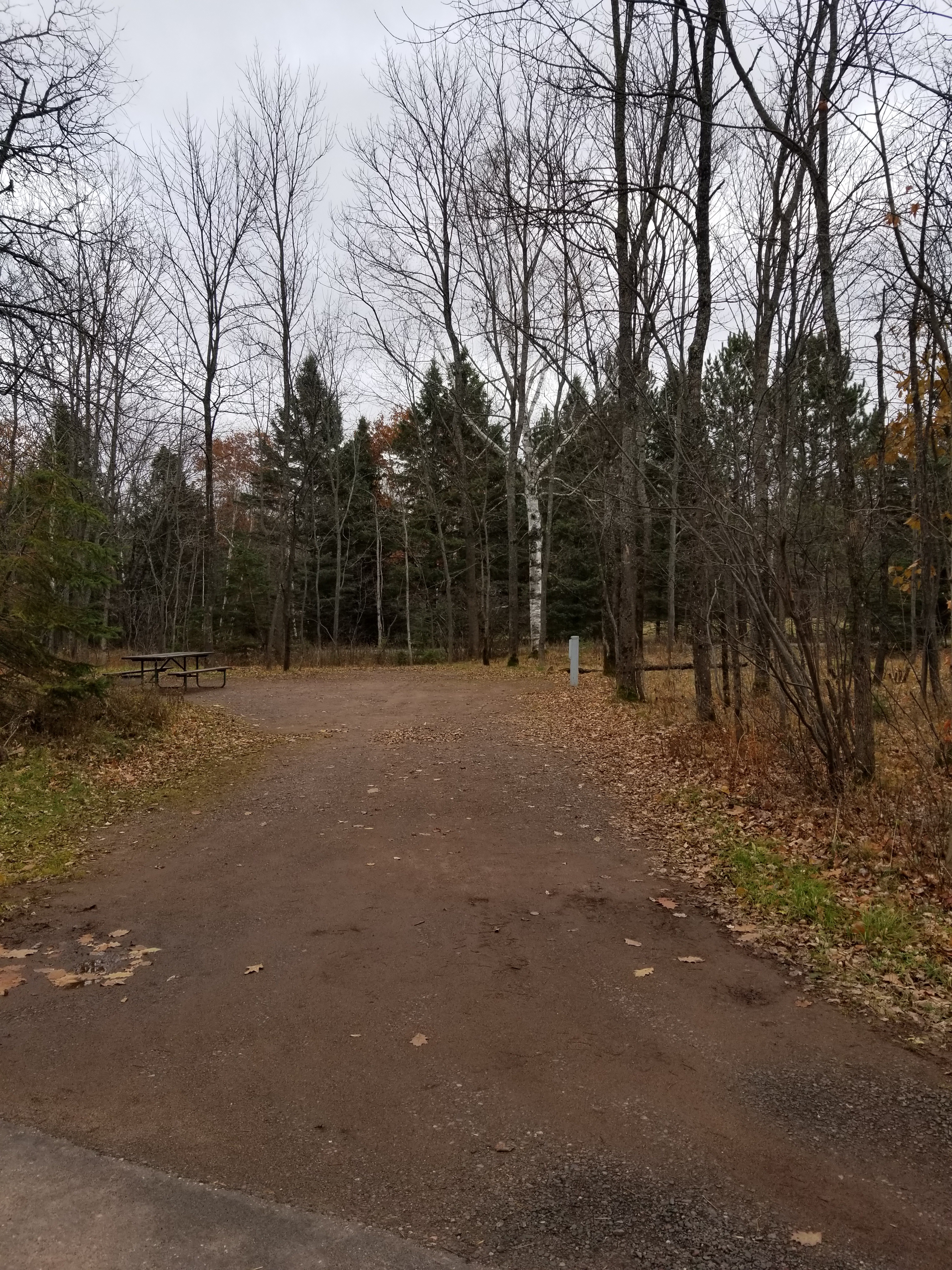Site 2, photo 2 of 4 · from wisconsin.goingtocamp.com (the park's booking system)