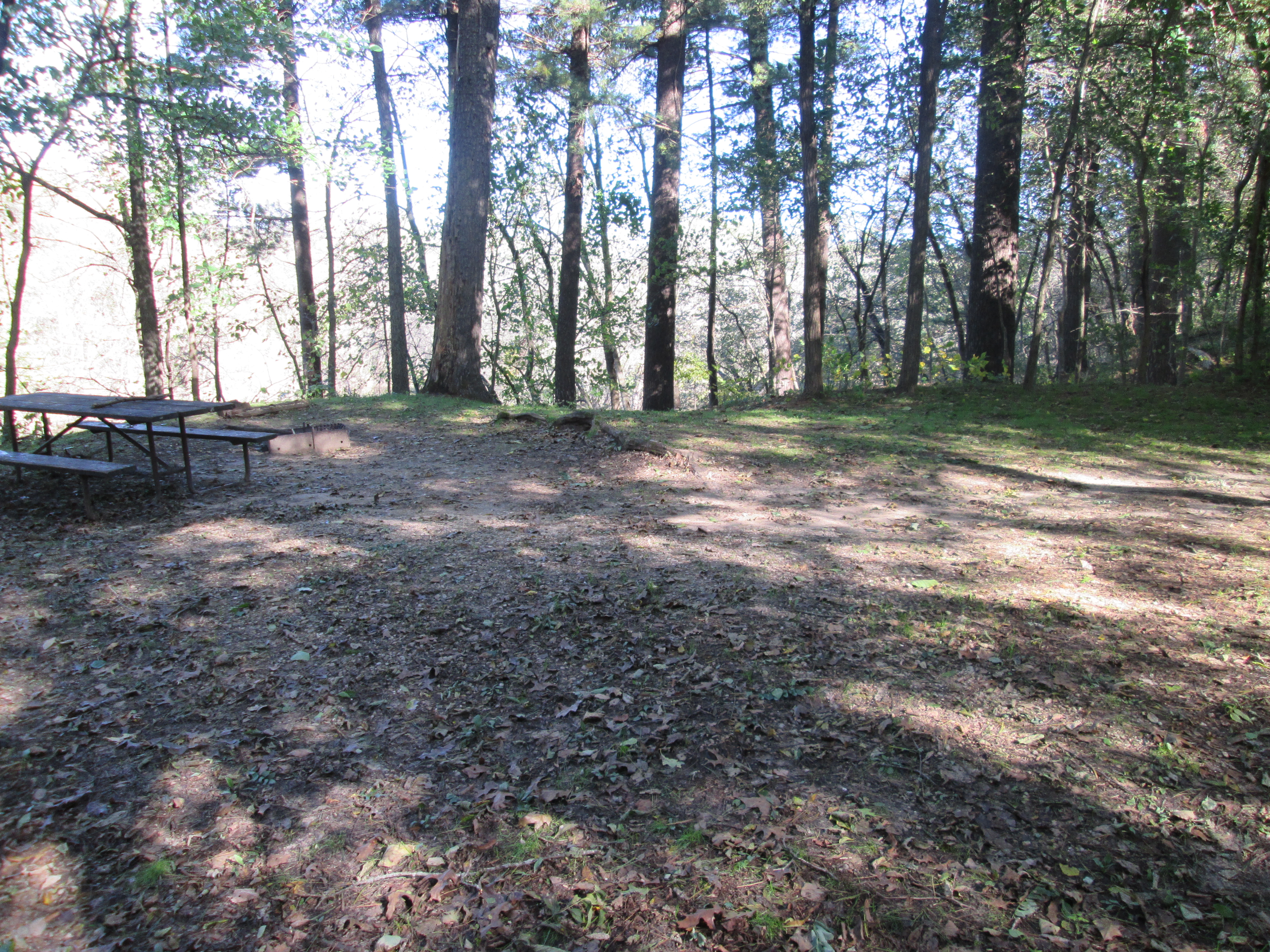 Site 5, photo 3 of 3 · from wisconsin.goingtocamp.com (the park's booking system)
