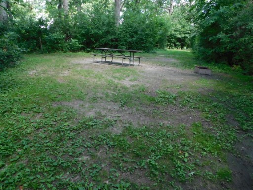 Site 36, photo 2 of 2 · from wisconsin.goingtocamp.com (the park's booking system)