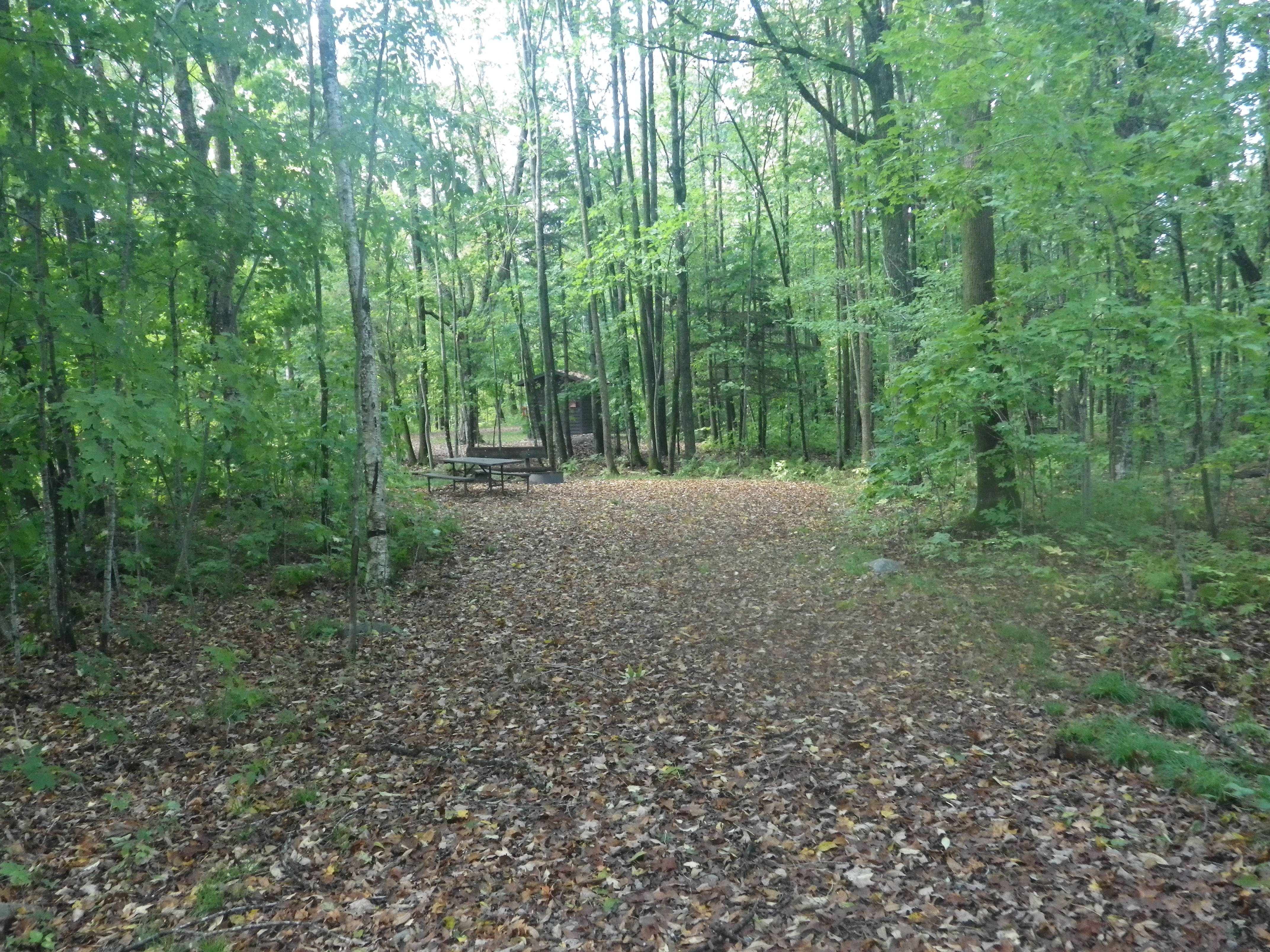 Site 115, photo 2 of 3 · from wisconsin.goingtocamp.com (the park's booking system)