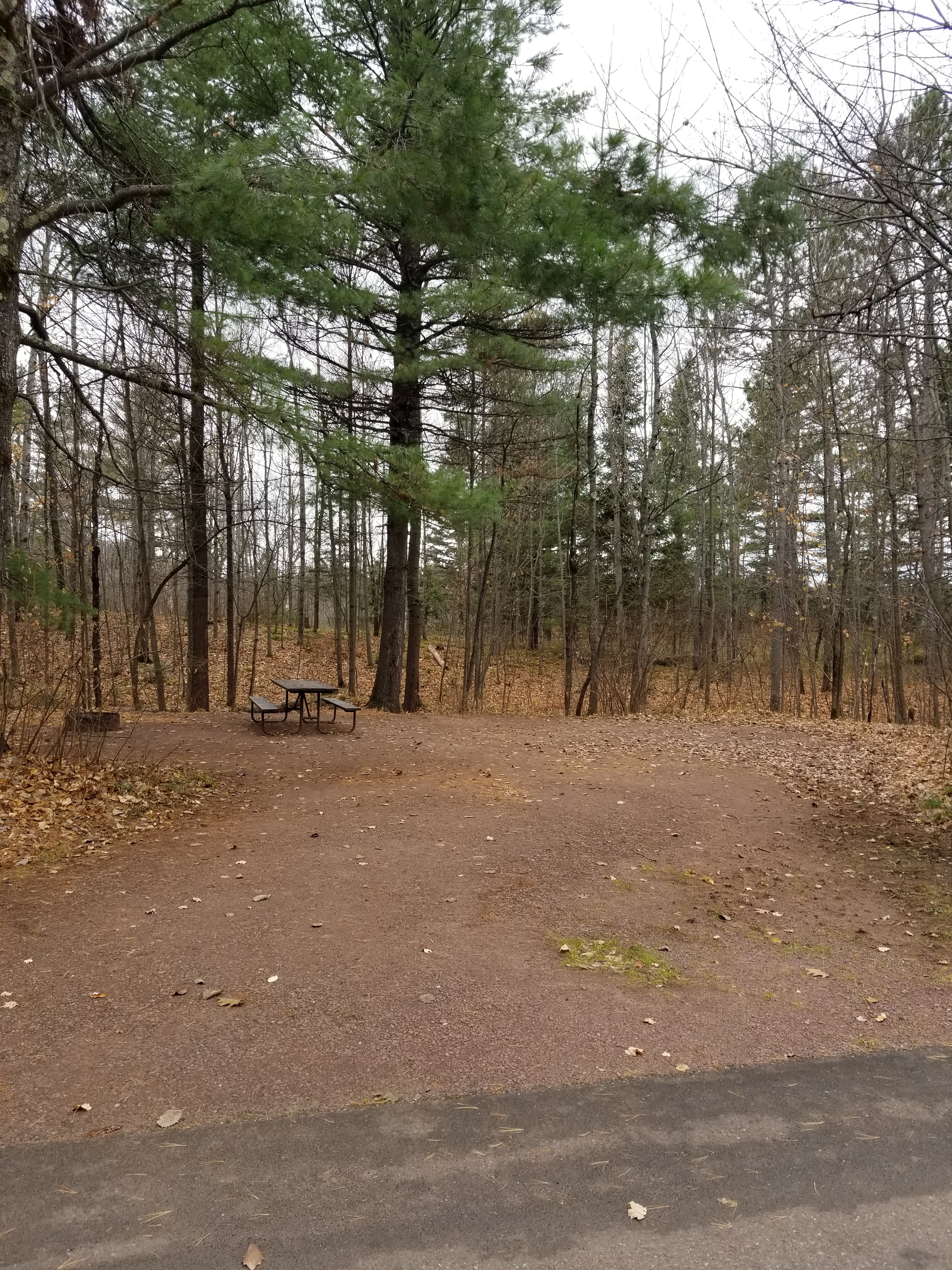 Site 22, photo 2 of 4 · from wisconsin.goingtocamp.com (the park's booking system)