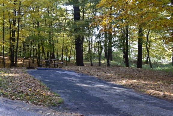 Site 69, photo 2 of 3 · from wisconsin.goingtocamp.com (the park's booking system)