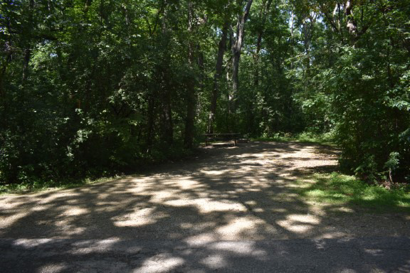 Site 39, photo 3 of 5 · from wisconsin.goingtocamp.com (the park's booking system)