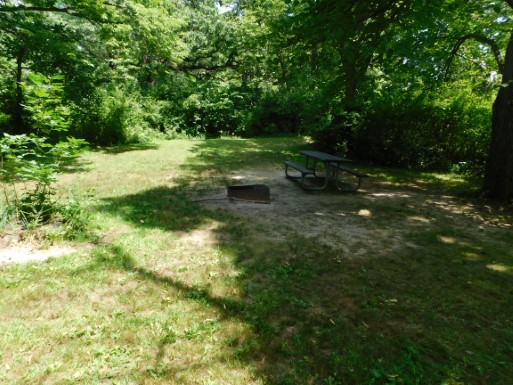 Site 5, photo 2 of 2 · from wisconsin.goingtocamp.com (the park's booking system)