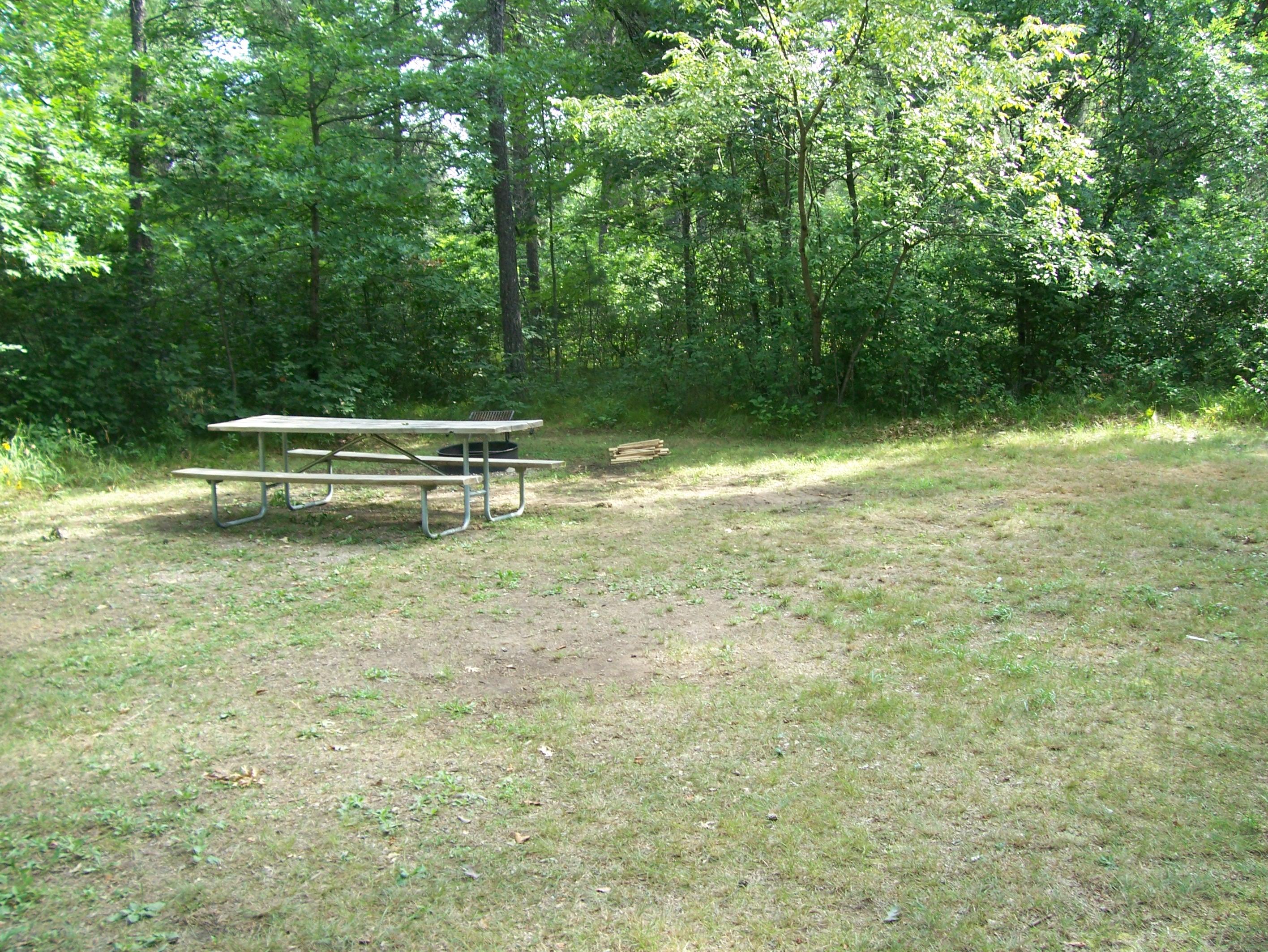 Site 9, photo 2 of 2 · from wisconsin.goingtocamp.com (the park's booking system)