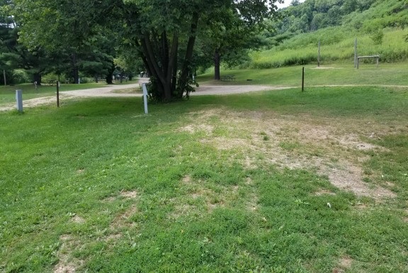 Site 223, photo 2 of 3 · from wisconsin.goingtocamp.com (the park's booking system)