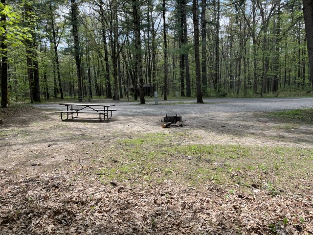 Site 20, photo 3 of 3 · from wisconsin.goingtocamp.com (the park's booking system)