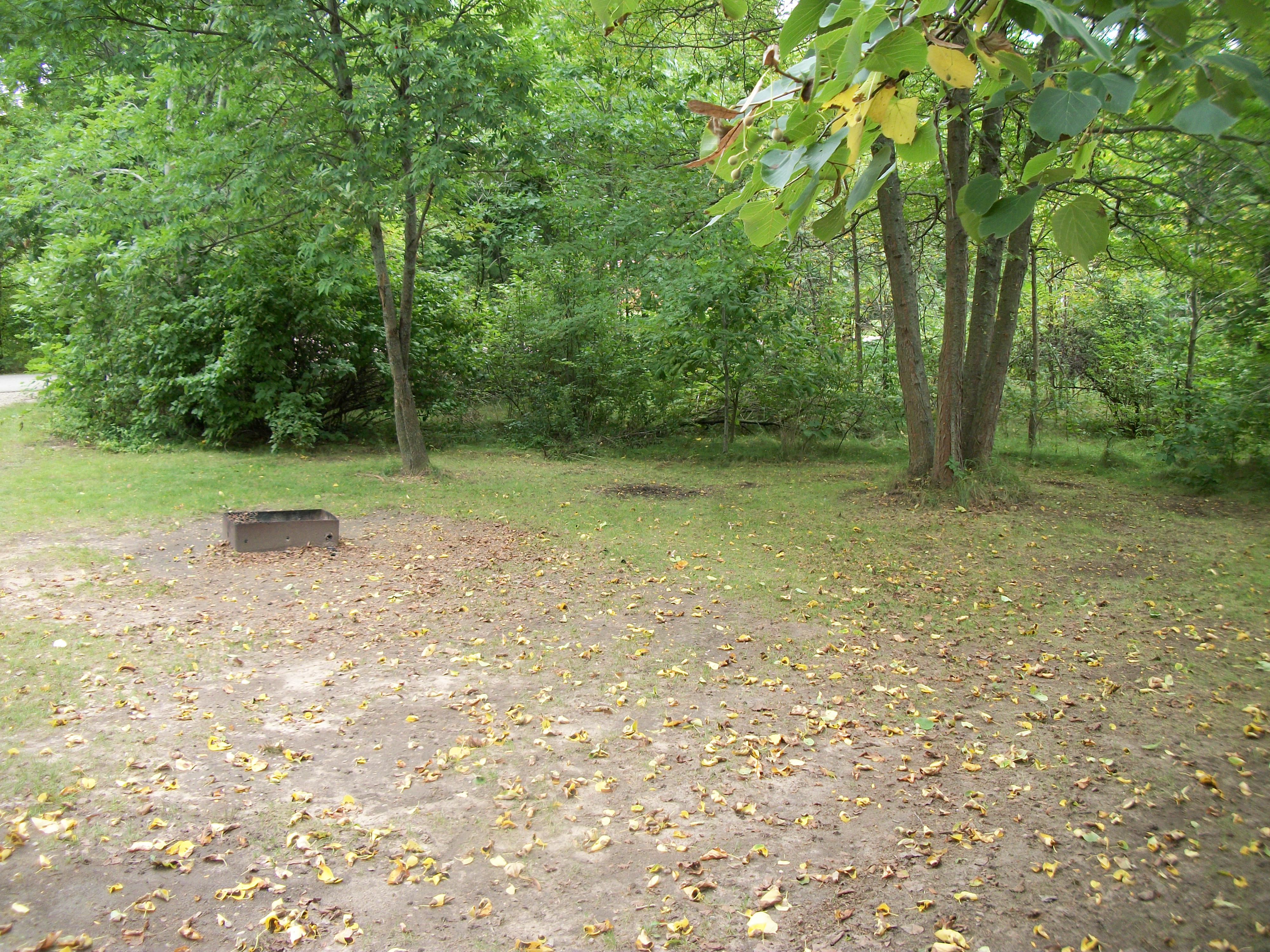 Site 398, photo 3 of 3 · from wisconsin.goingtocamp.com (the park's booking system)