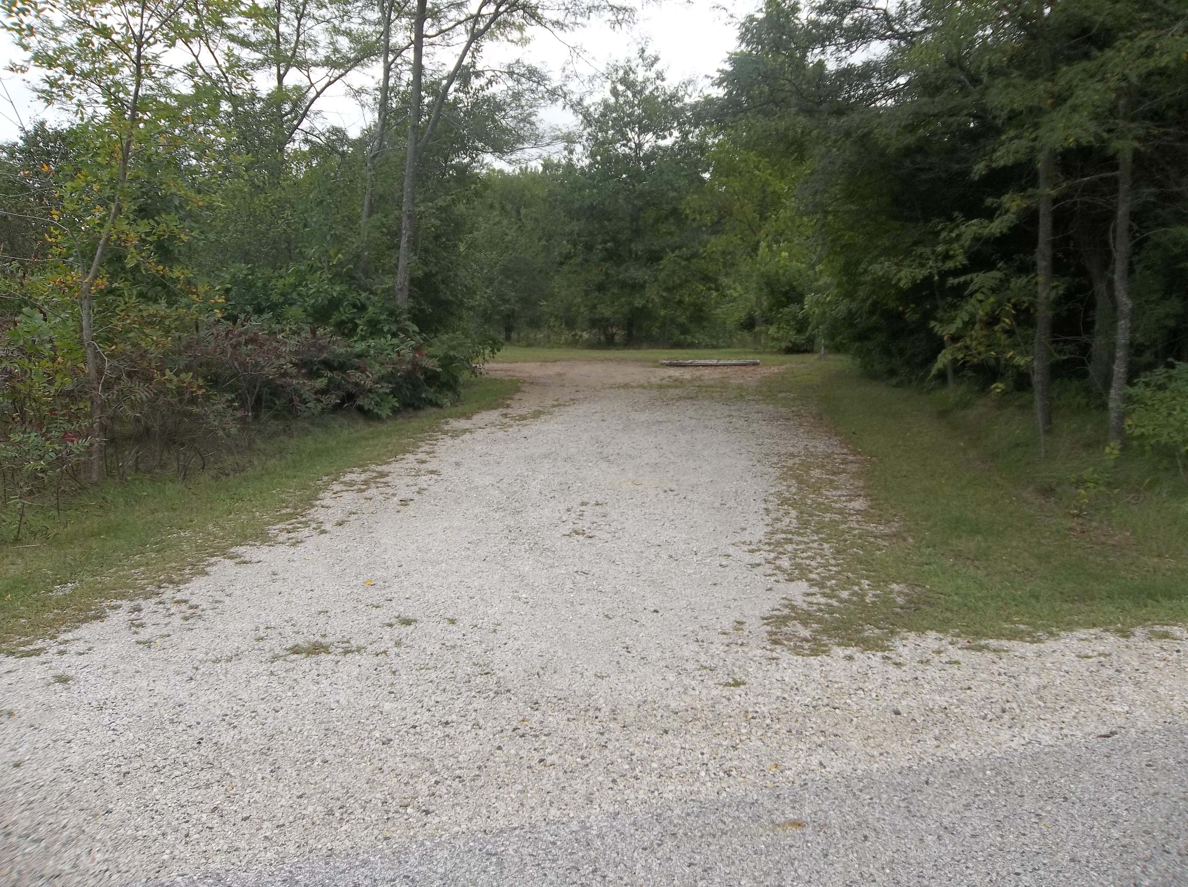 Site 375, photo 2 of 3 · from wisconsin.goingtocamp.com (the park's booking system)