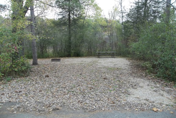Site 313, photo 2 of 4 · from wisconsin.goingtocamp.com (the park's booking system)