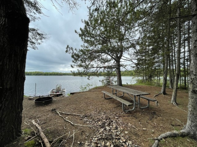 Site 29, photo 3 of 3 · from wisconsin.goingtocamp.com (the park's booking system)