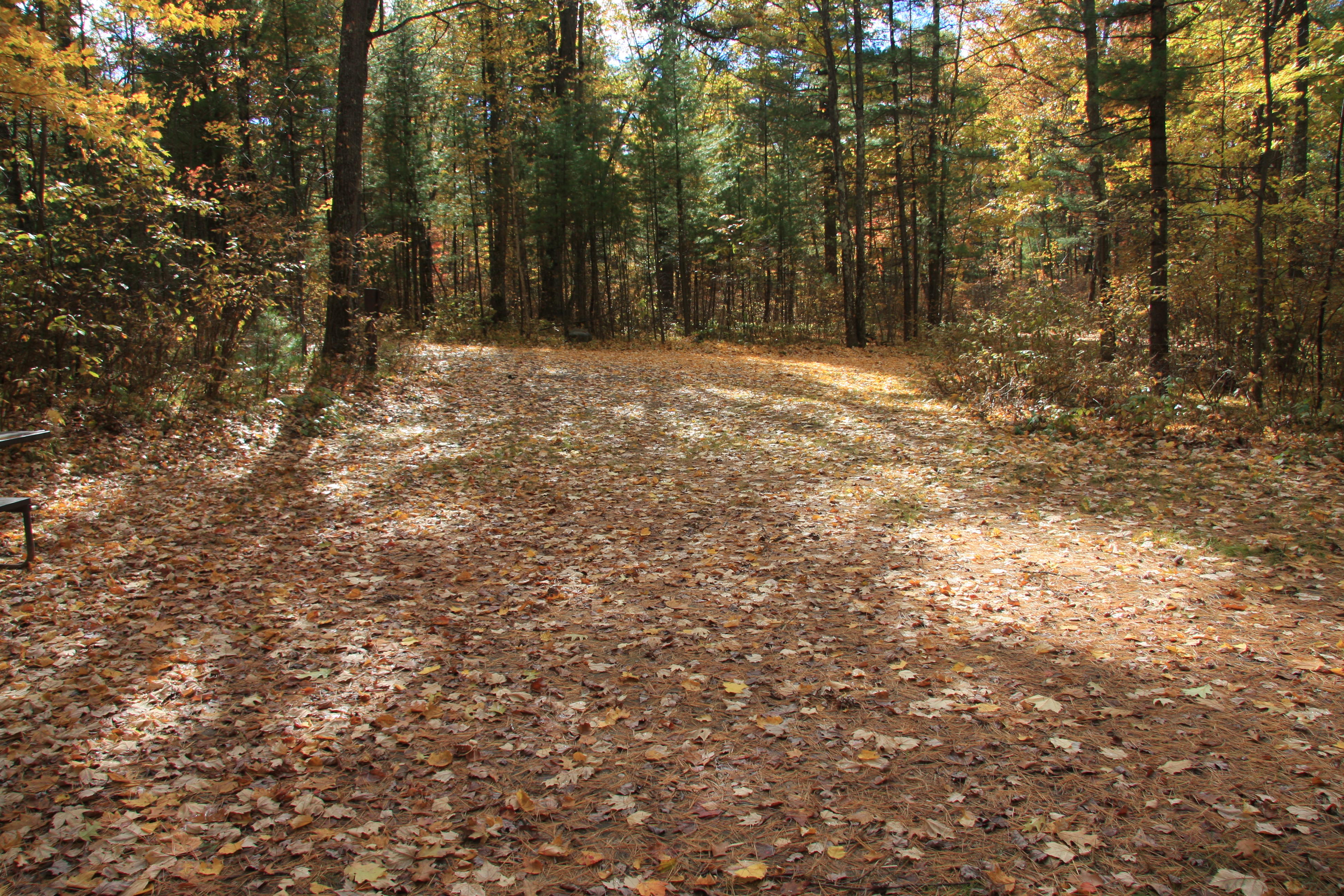 Site 2026, photo 2 of 2 · from wisconsin.goingtocamp.com (the park's booking system)