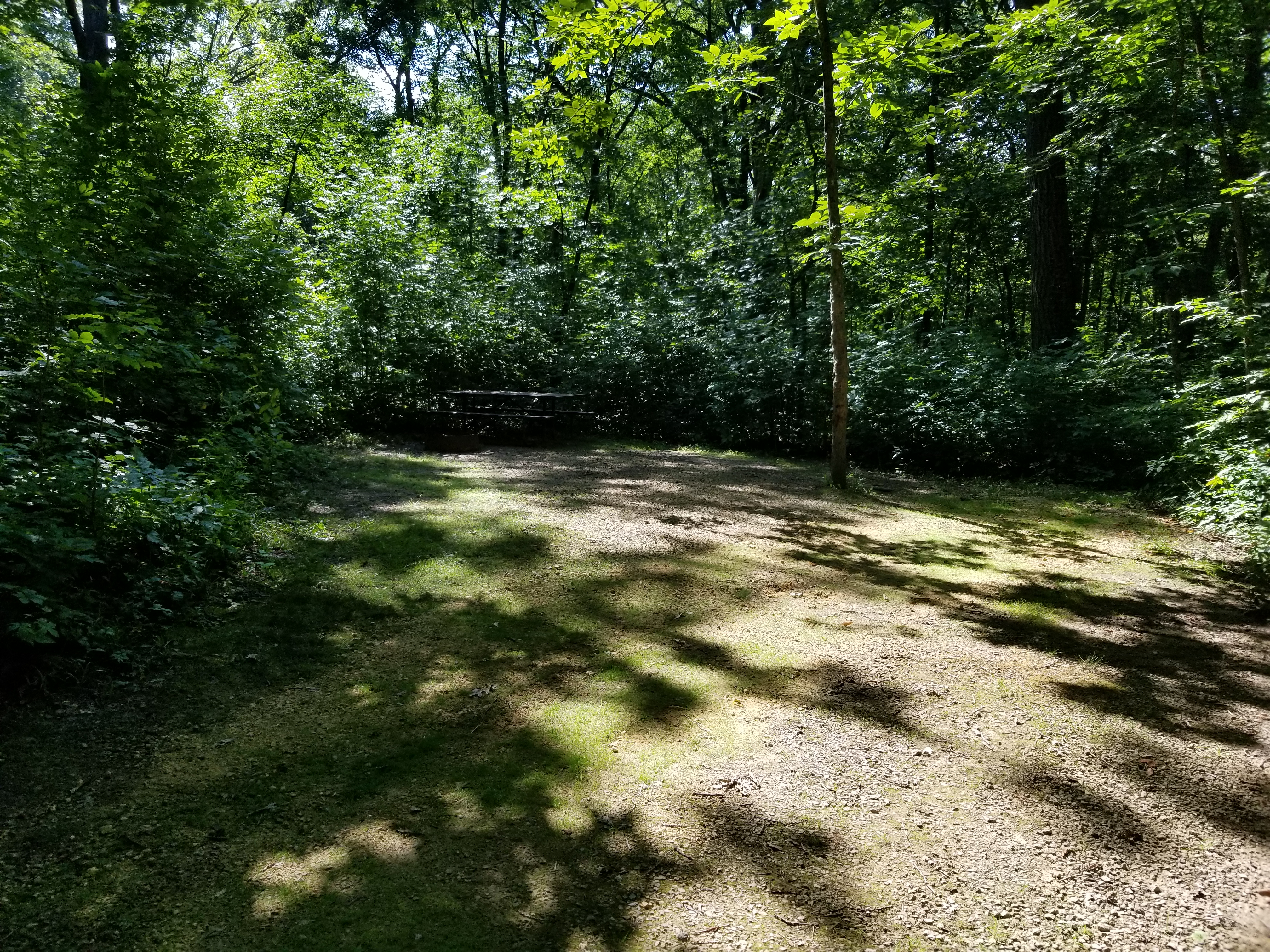 Site 77, photo 2 of 3 · from wisconsin.goingtocamp.com (the park's booking system)