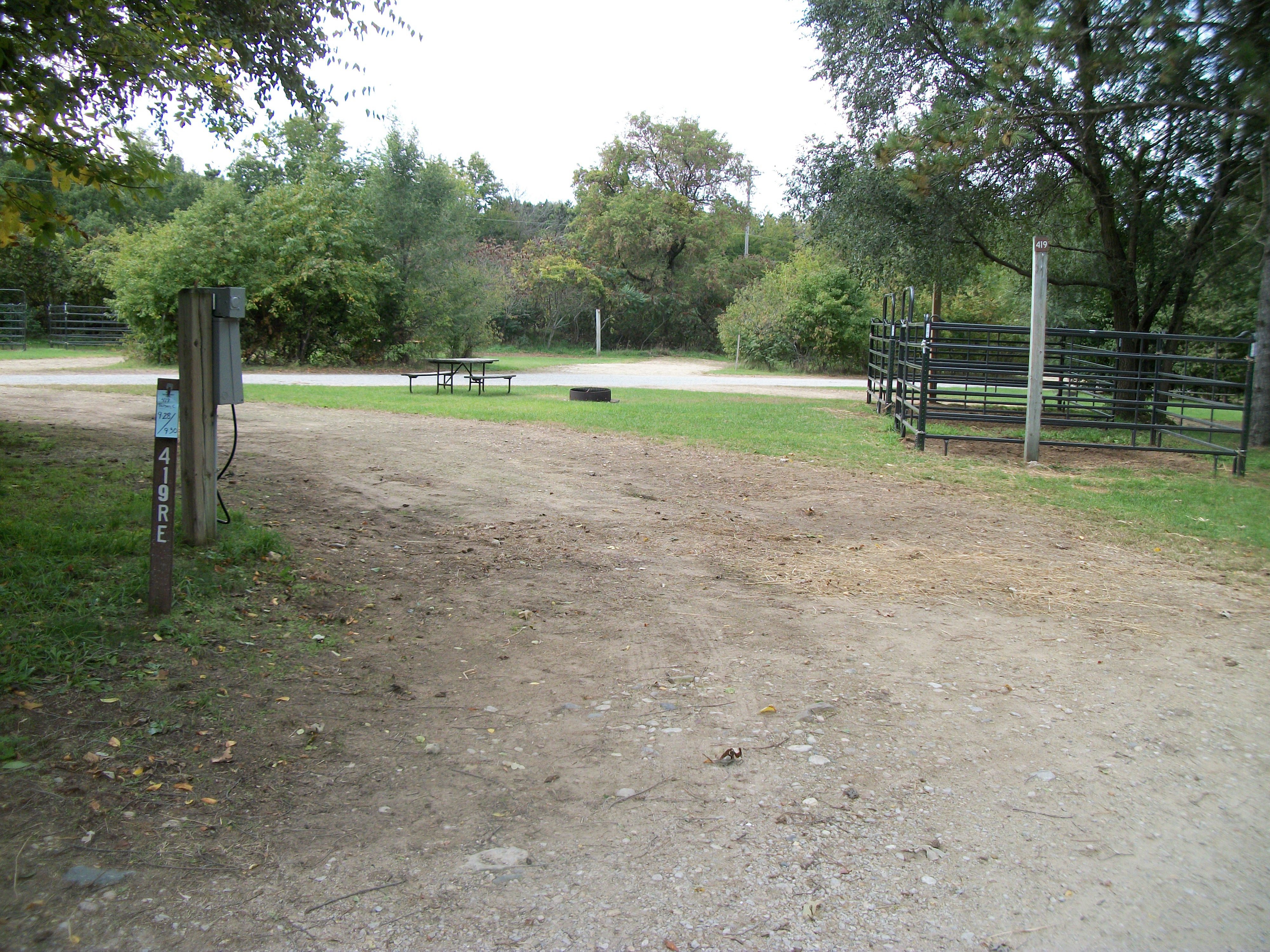 Site 419, photo 2 of 3 · from wisconsin.goingtocamp.com (the park's booking system)