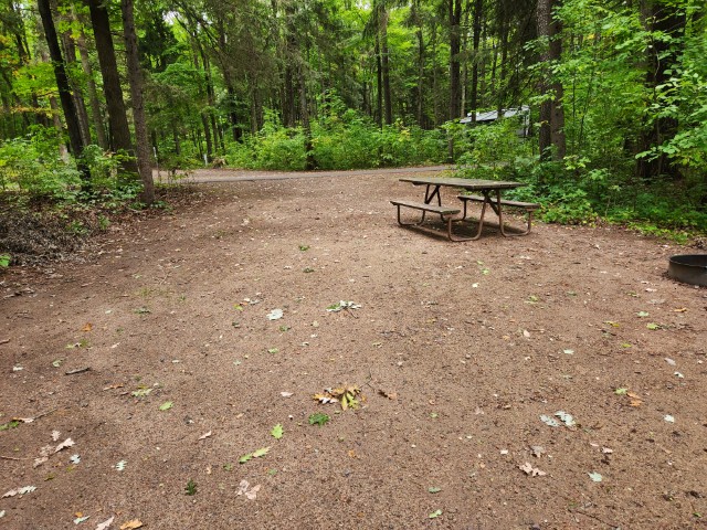Site 38, photo 2 of 3 · from wisconsin.goingtocamp.com (the park's booking system)