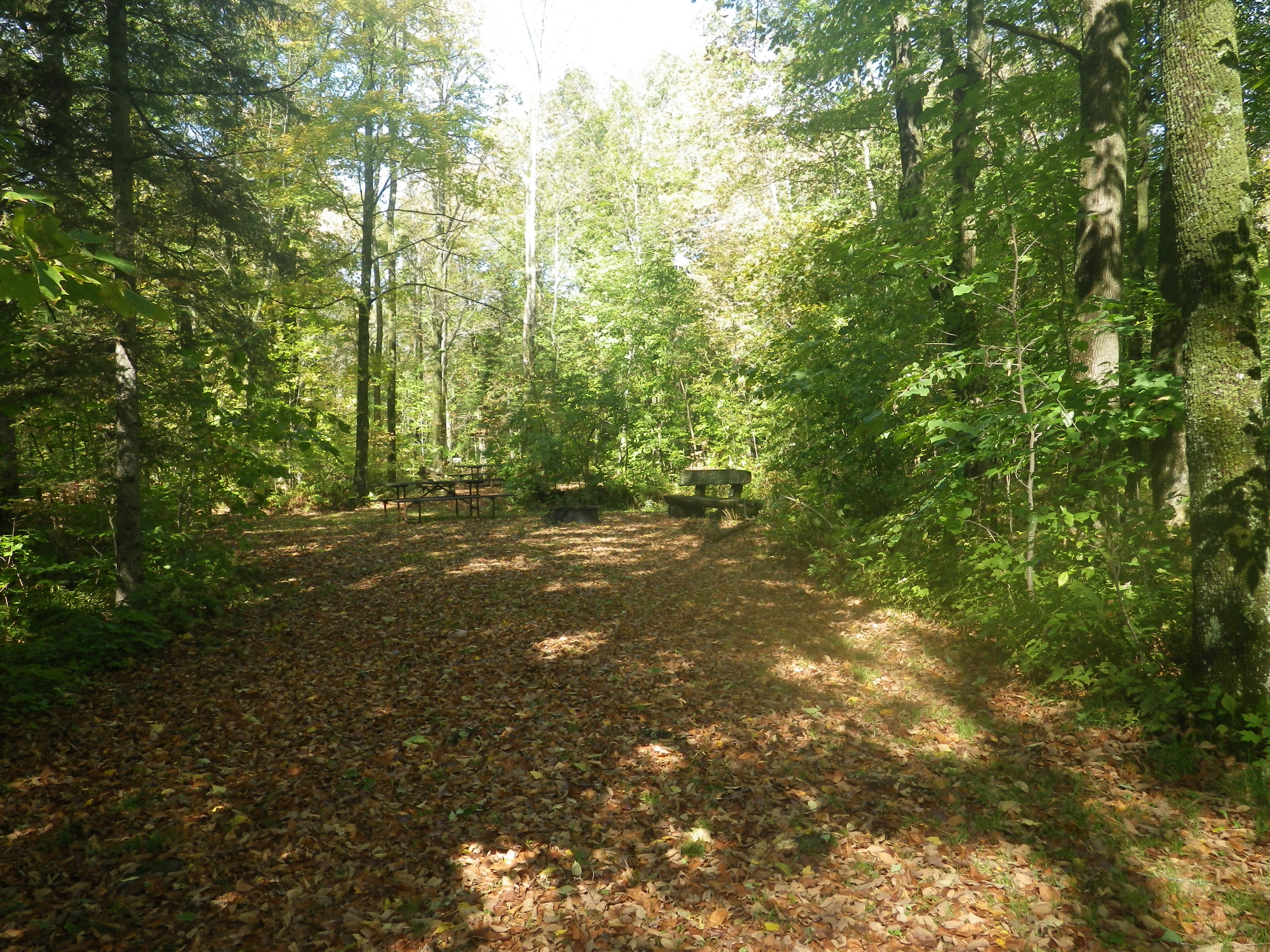 Site 110, photo 2 of 3 · from wisconsin.goingtocamp.com (the park's booking system)