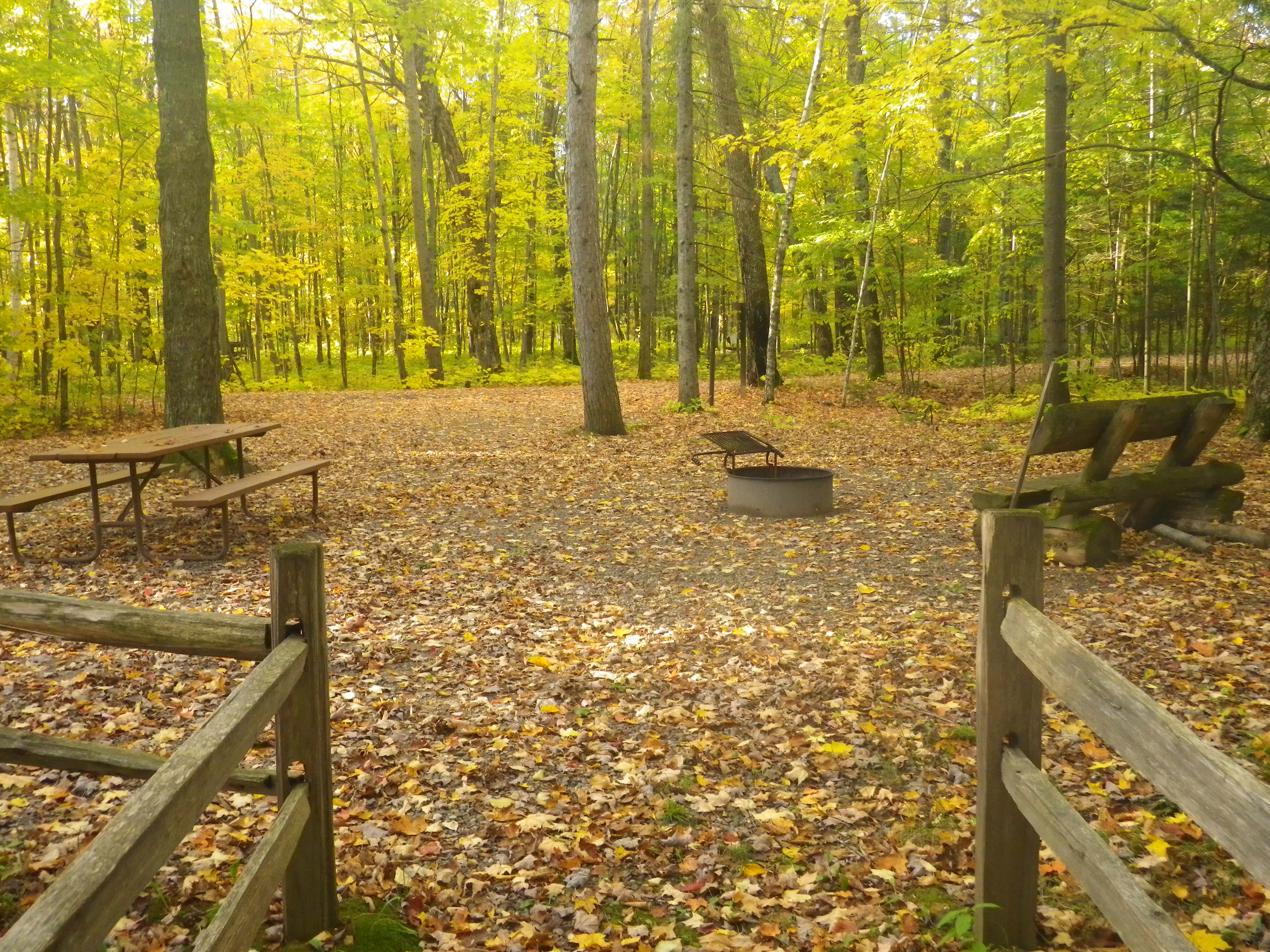 Site 10, photo 3 of 3 · from wisconsin.goingtocamp.com (the park's booking system)