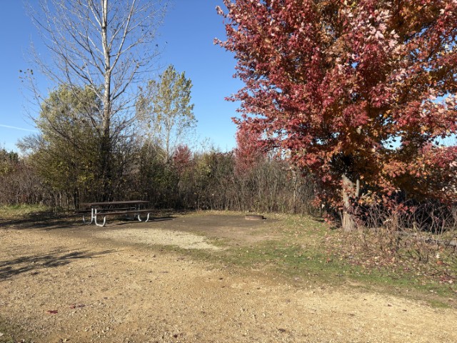 Site 126, photo 2 of 2 · from wisconsin.goingtocamp.com (the park's booking system)