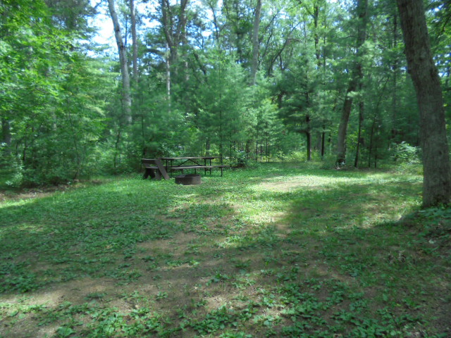 Site 12, photo 2 of 4 · from wisconsin.goingtocamp.com (the park's booking system)